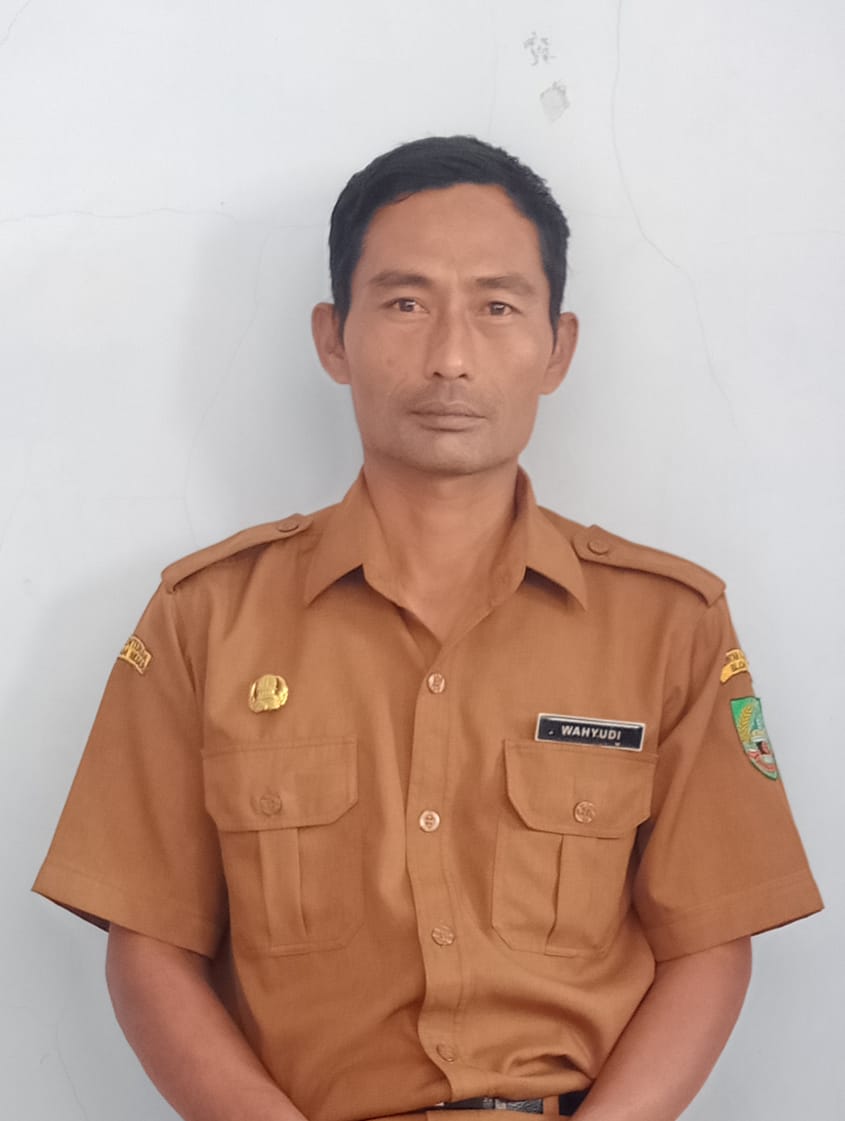 Wahyudi