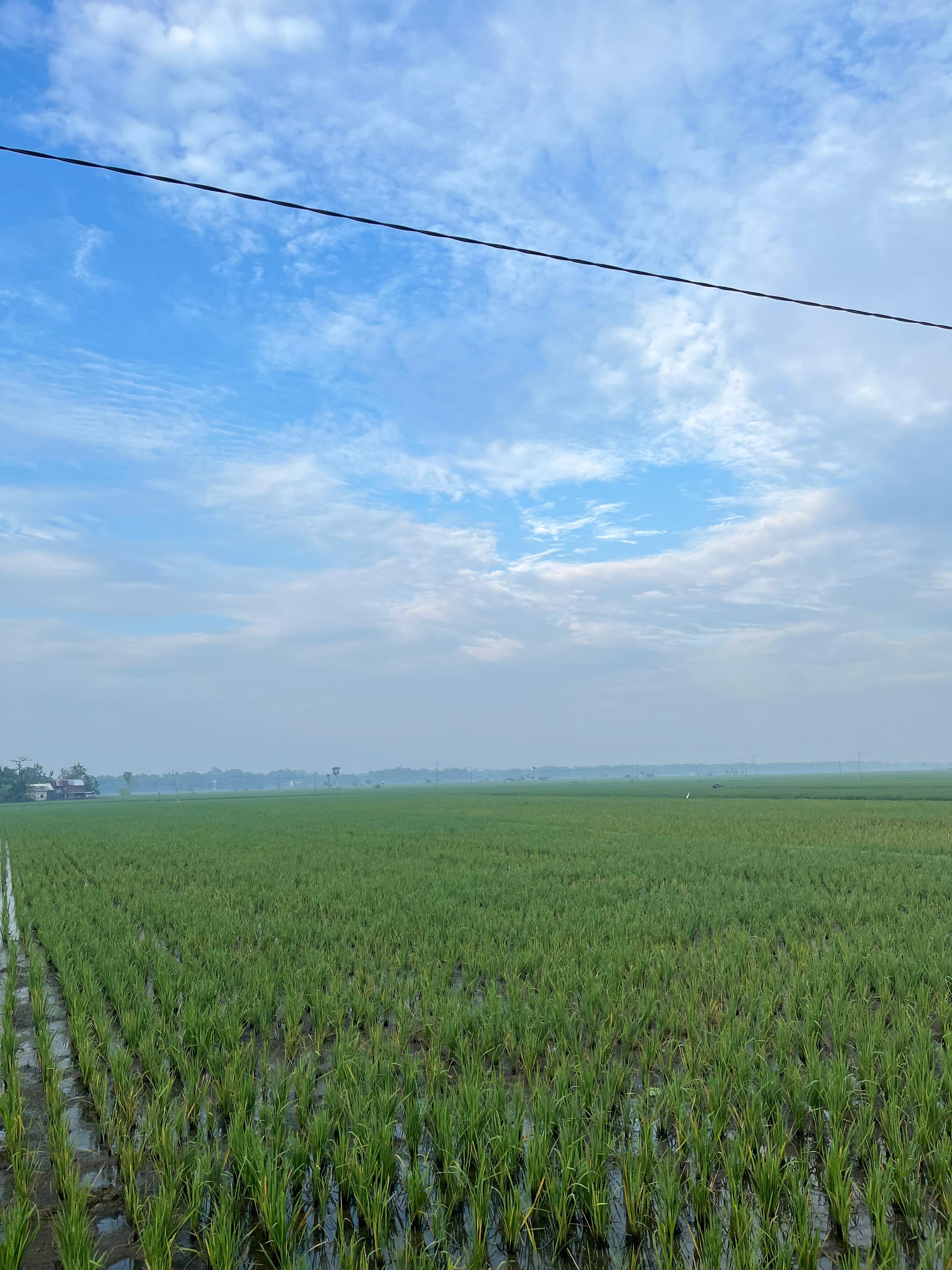 Foto galeri Desa Sumberpitu